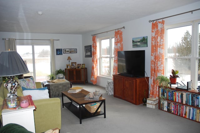 living area featuring light colored carpet