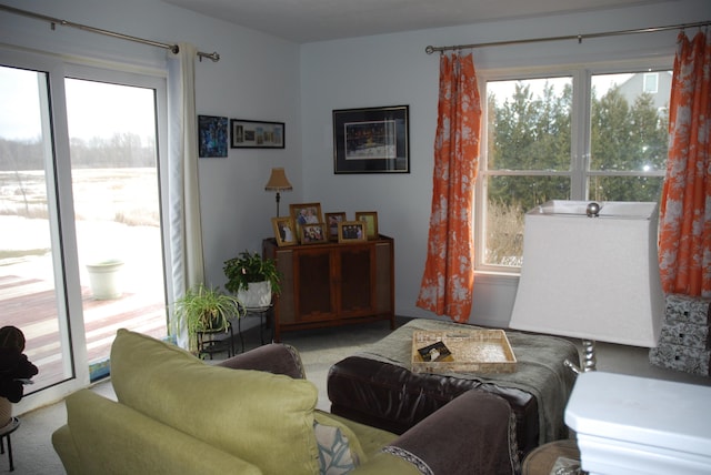 living room featuring a healthy amount of sunlight and carpet