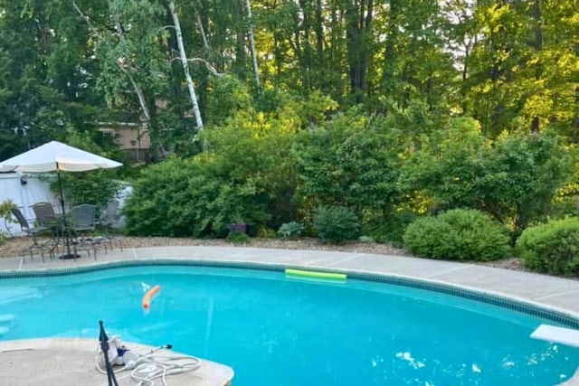 outdoor pool featuring a patio and a diving board