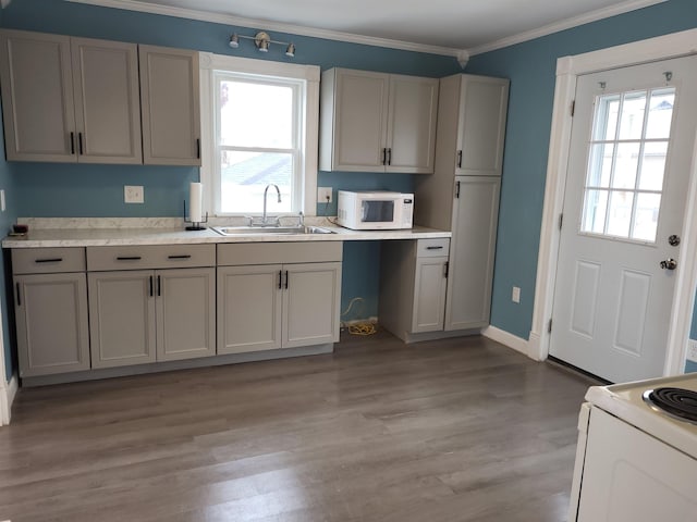 kitchen with a sink, a wealth of natural light, white appliances, and ornamental molding