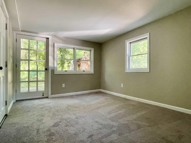 empty room with a wealth of natural light, baseboards, and carpet flooring