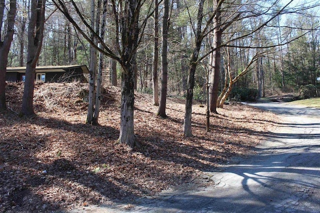 view of street featuring a view of trees