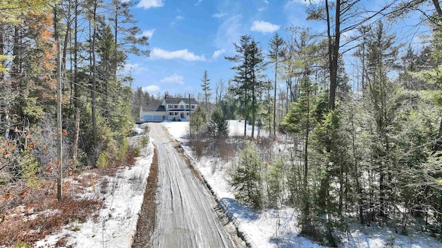 view of road with a view of trees and dirt driveway