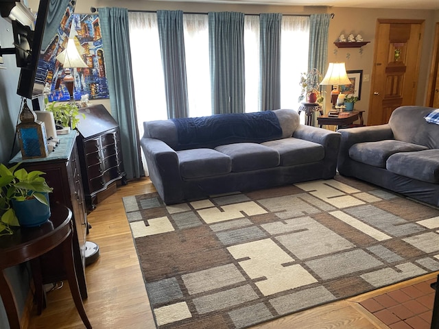 living room featuring a wealth of natural light and light wood-style floors