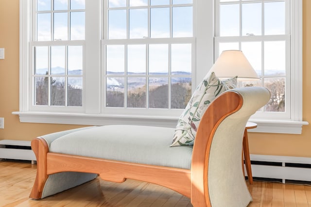 bedroom featuring wood finished floors, a mountain view, and a baseboard radiator