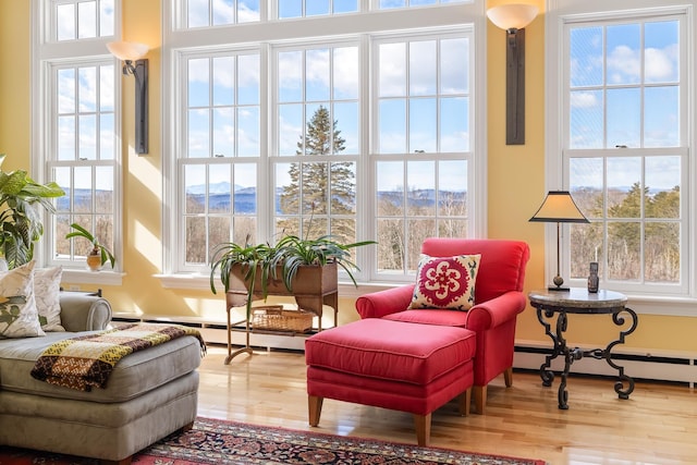 interior space featuring a baseboard heating unit and a mountain view