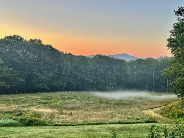 property view of mountains featuring a wooded view