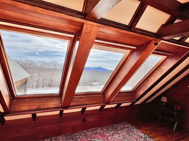 interior details with a mountain view and wood finished floors