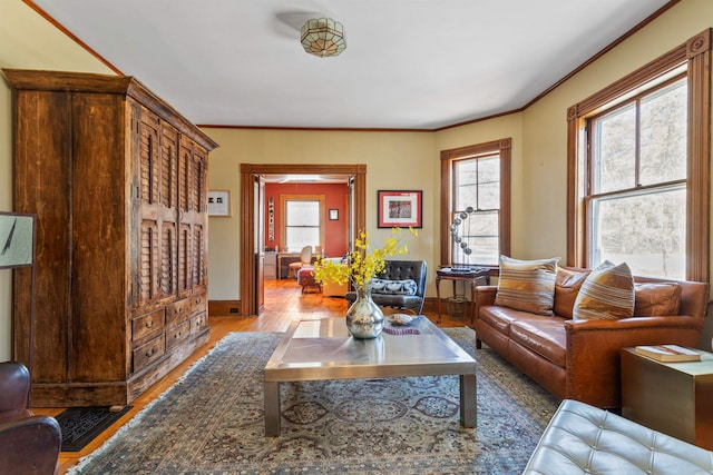 living area featuring crown molding, baseboards, and wood finished floors