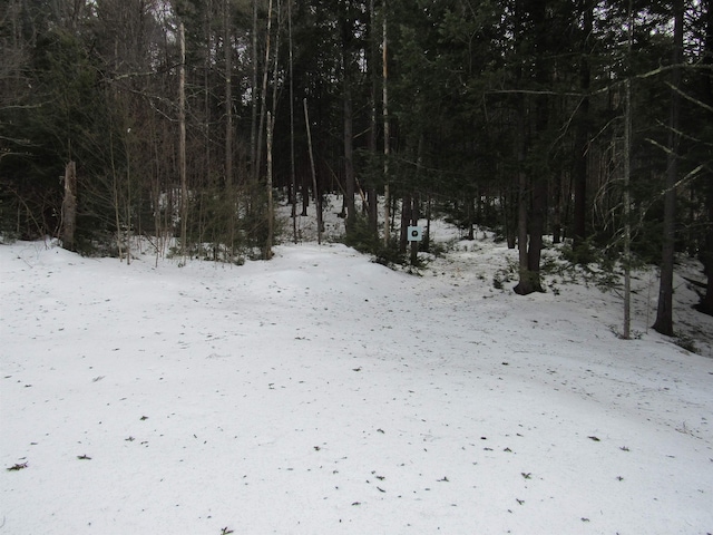 view of snowy view