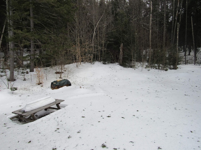 yard covered in snow with a wooded view