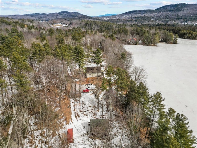 aerial view with a mountain view and a wooded view