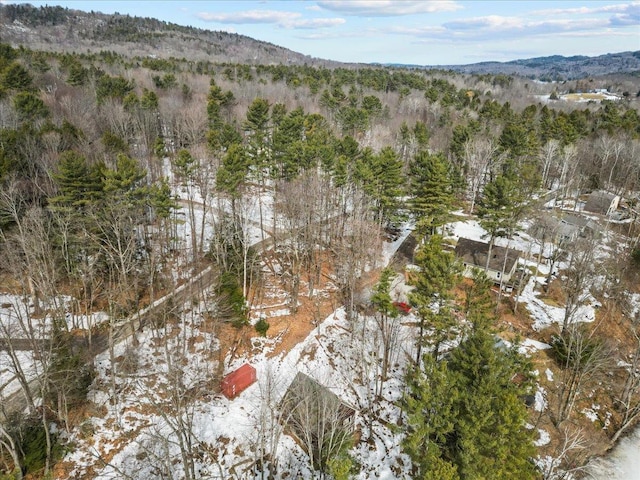 bird's eye view featuring a forest view and a mountain view