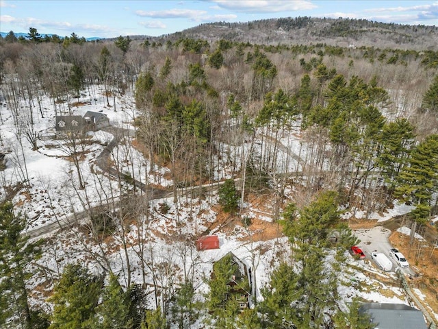 snowy aerial view featuring a mountain view and a forest view