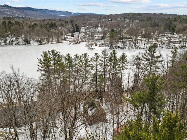 snowy aerial view featuring a wooded view and a mountain view