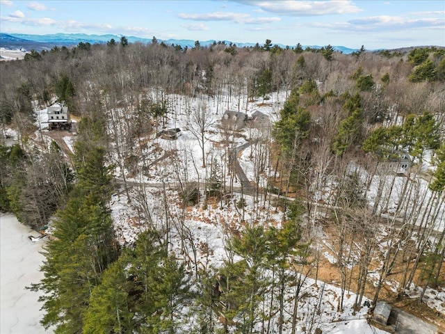 bird's eye view featuring a mountain view and a view of trees