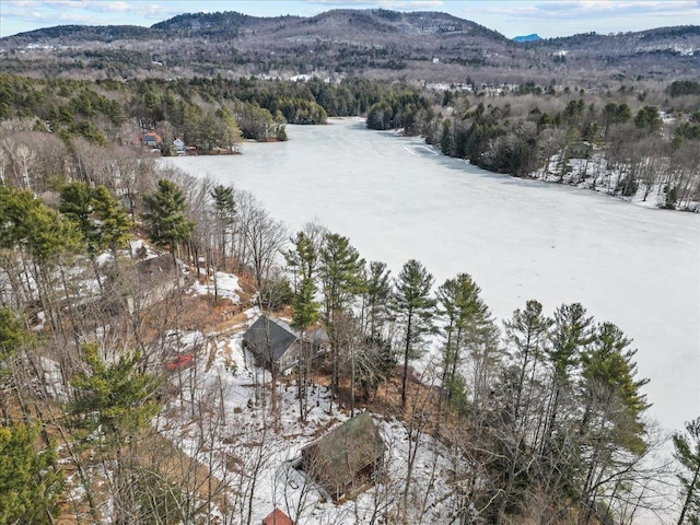 aerial view with a mountain view and a forest view