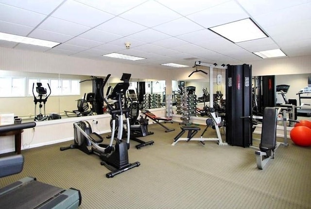 exercise room featuring a drop ceiling and carpet