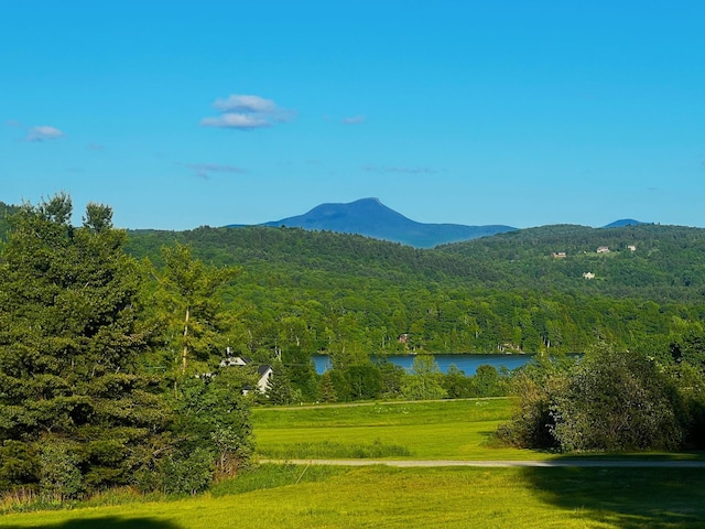 view of mountain feature featuring a wooded view and a water view