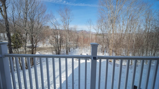 view of yard covered in snow