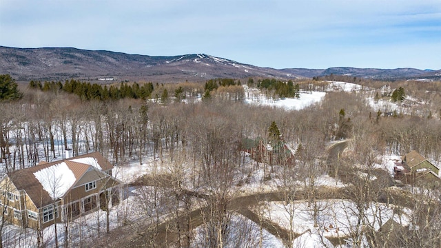 property view of mountains