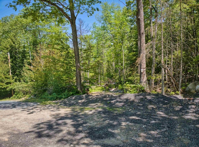 Listing photo 2 for 00 Stocker Pond Rd, Grantham NH 03753