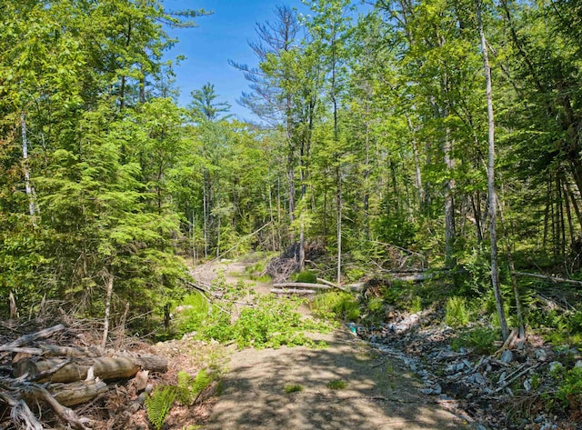 Listing photo 3 for 00 Stocker Pond Rd, Grantham NH 03753