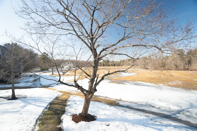 view of snowy yard