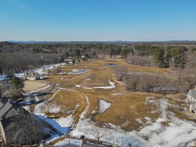 bird's eye view with a wooded view