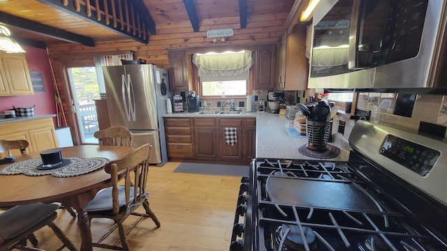 kitchen with a sink, light countertops, a wealth of natural light, and stainless steel appliances