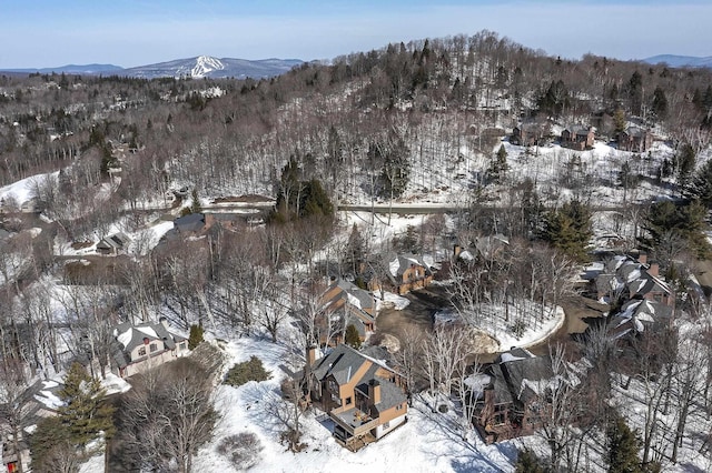 snowy aerial view with a mountain view and a view of trees