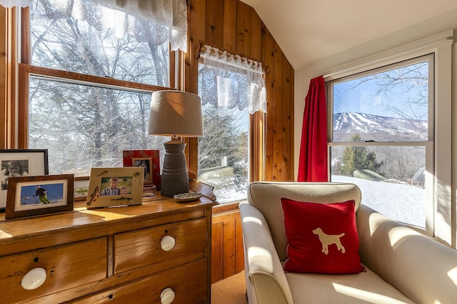 sitting room with vaulted ceiling