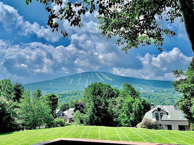 view of mountain feature