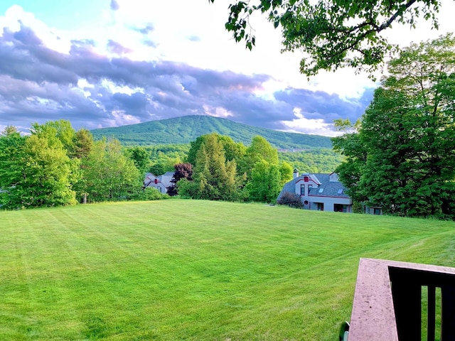 view of yard featuring a mountain view