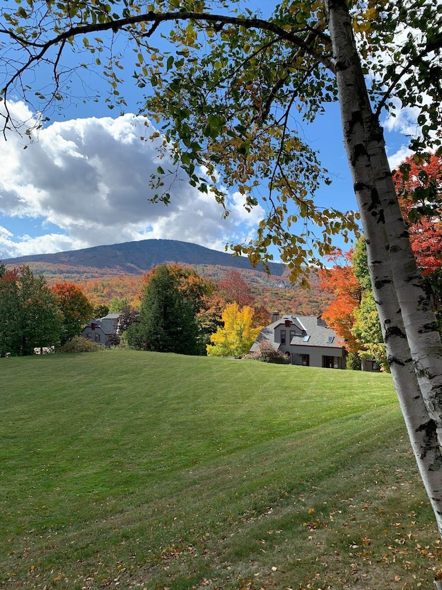 view of mountain feature