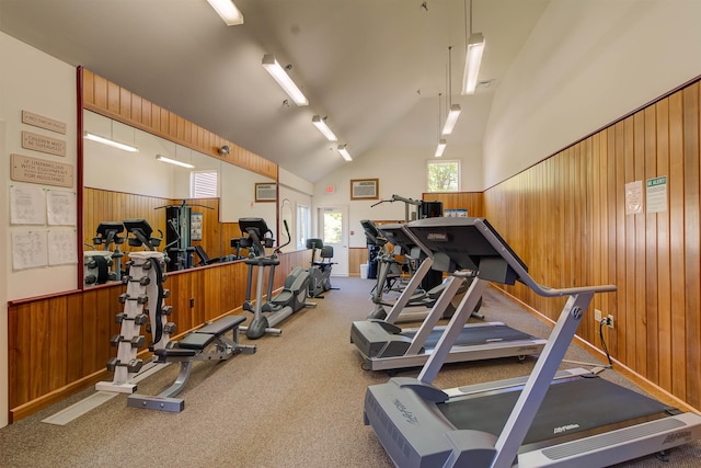 exercise room with high vaulted ceiling, carpet floors, wooden walls, and wainscoting