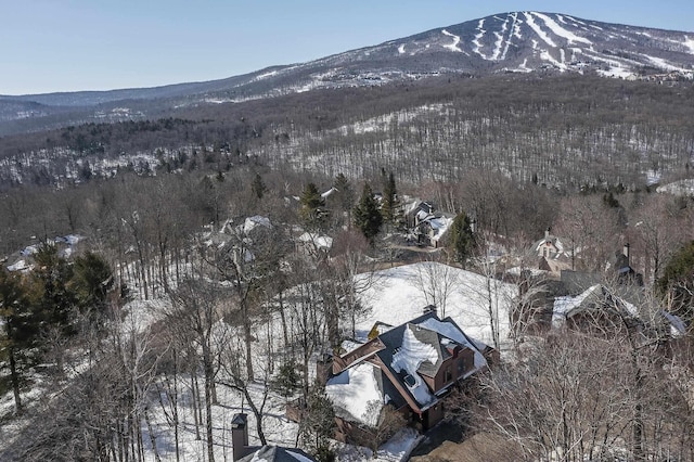 snowy aerial view featuring a forest view and a mountain view