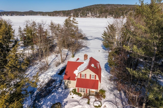 snowy aerial view with a view of trees