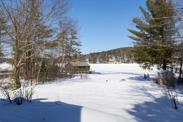 view of snowy yard