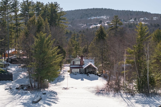 snowy aerial view featuring a forest view