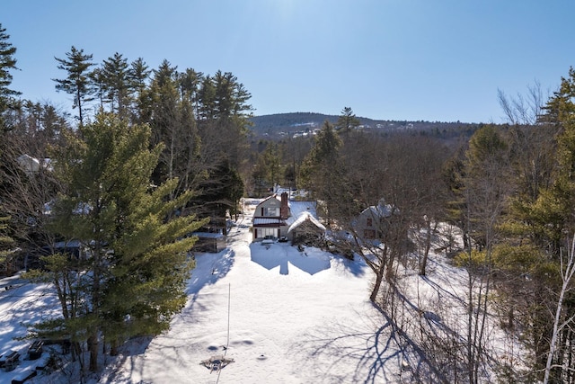 aerial view with a wooded view