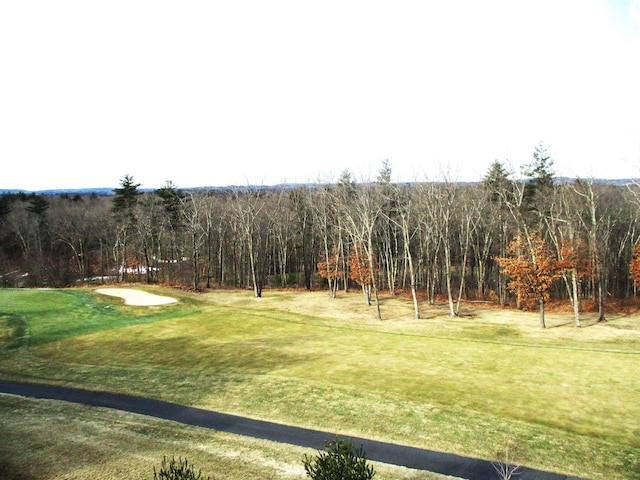 view of home's community featuring a lawn