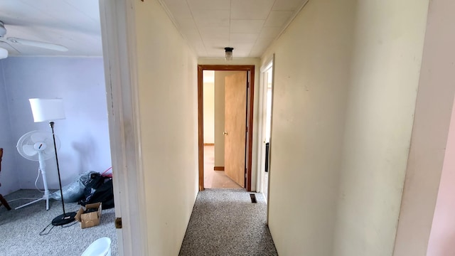 corridor with carpet floors