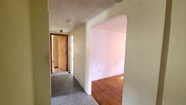 hall featuring crown molding and carpet floors