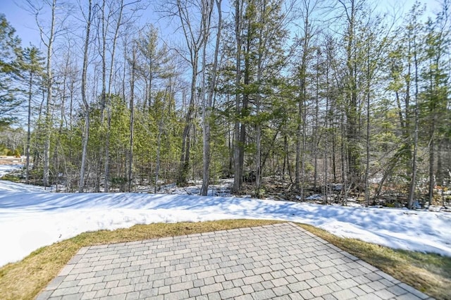 yard layered in snow featuring a patio area and a forest view