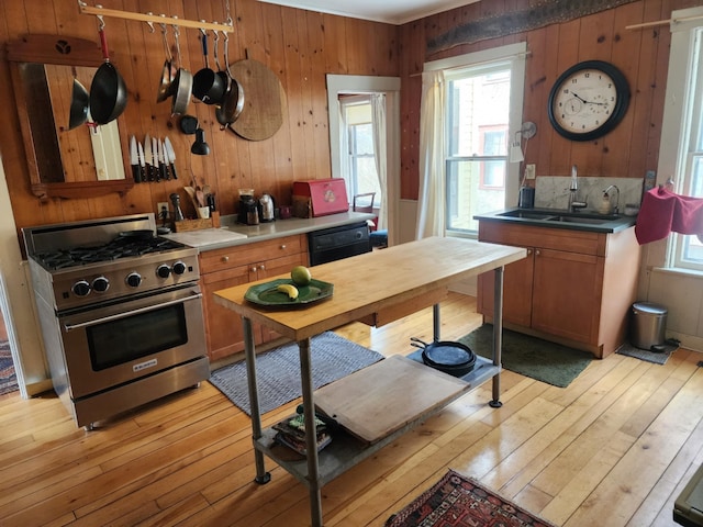 kitchen featuring a sink, black dishwasher, light wood-style floors, wood walls, and high end stainless steel range oven