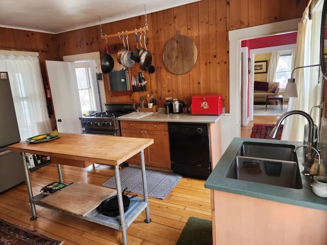 kitchen featuring a sink, light wood-type flooring, wood walls, and stainless steel appliances