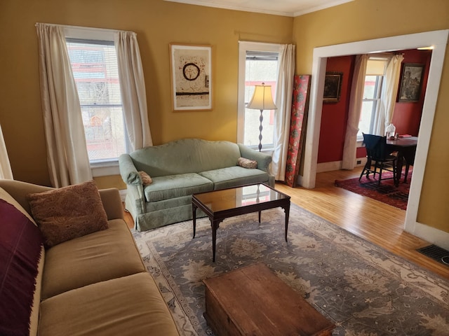 living area featuring plenty of natural light, baseboards, and wood finished floors