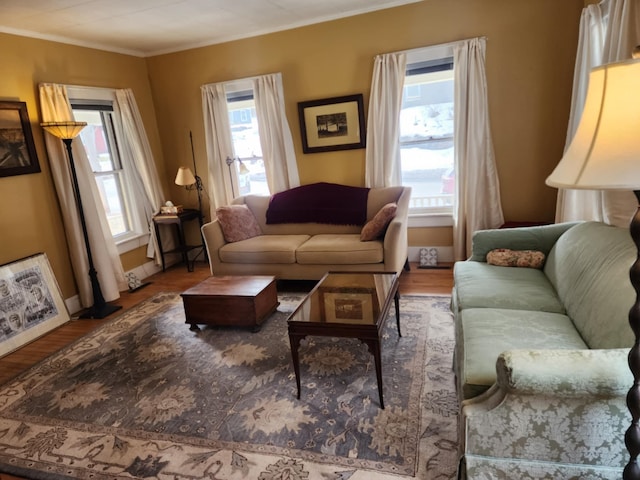 living room with wood finished floors and crown molding