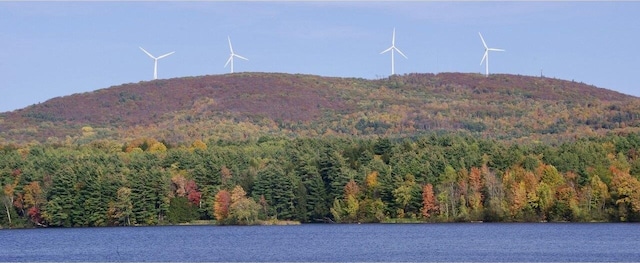 property view of mountains with a forest view and a water view